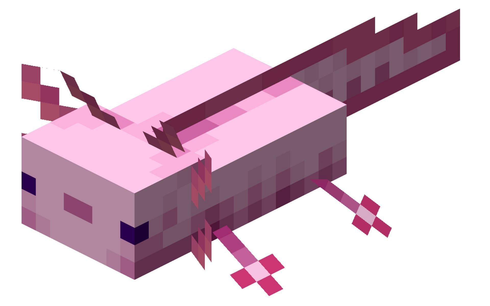 Mobs such as the Axolotl can move easily on land and in water with their AI helping them with pathing (Image via Fandom)