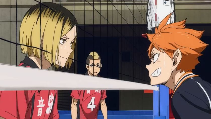 Haikyuu!, Wiki