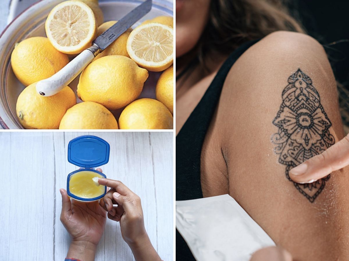Everything You Need To Know About Tattoo Aftercare – Best Tattoo Shop In  NYC | New York City Rooftop | Inknation Studio