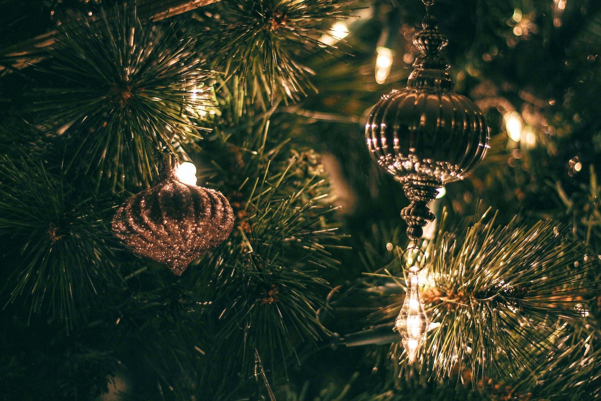 How can a Christmas tree trigger asthma and how to prevent it? (Photo by Tom Swinnen on Pexels)