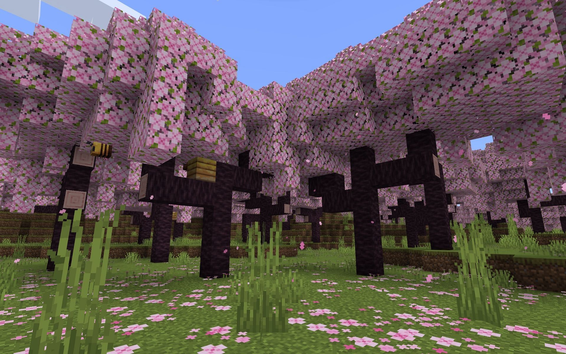 Desert Cherry Oasis (Image via Mojang)