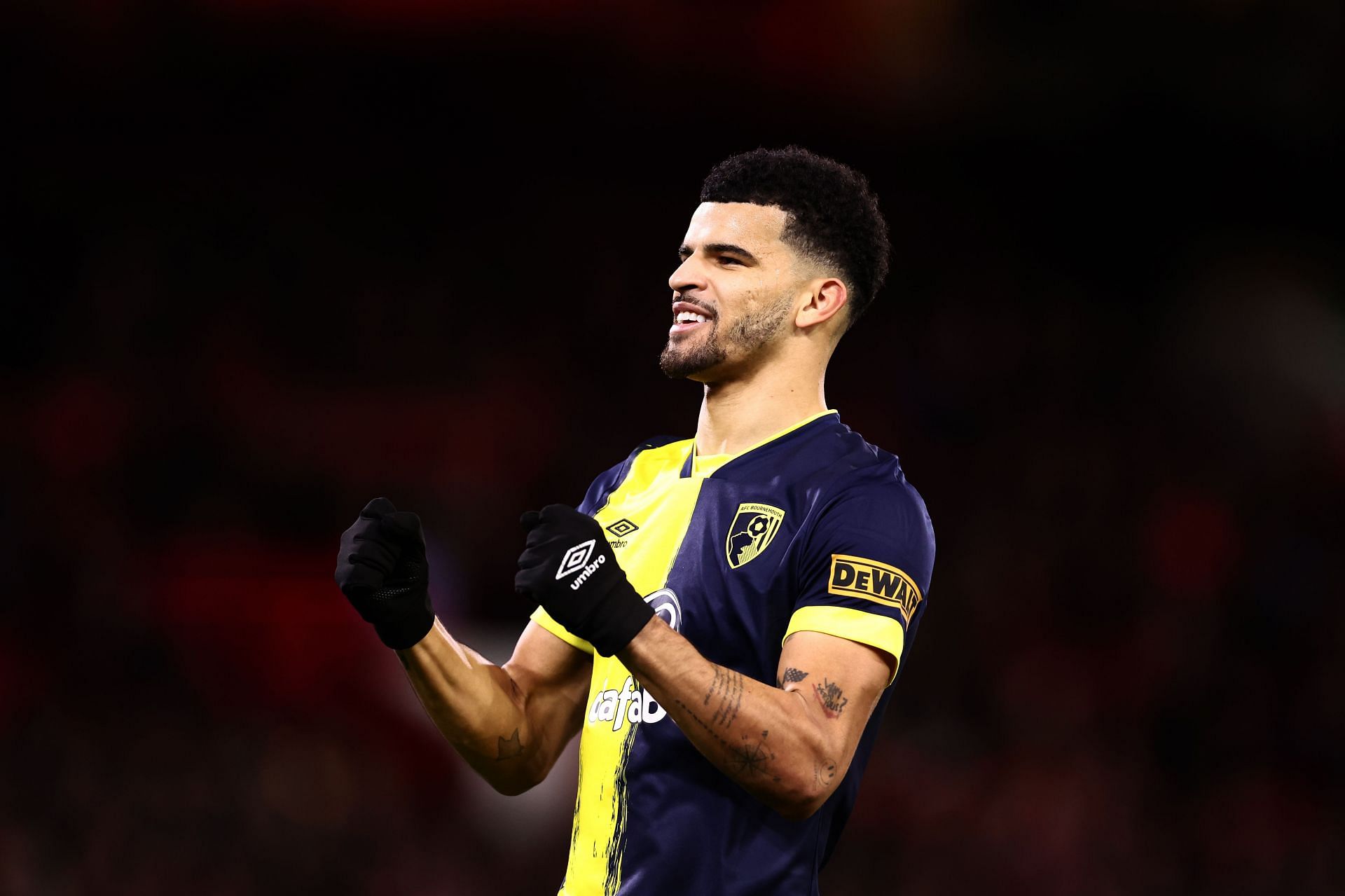 Dominic Solanke could be an option at the Emirates in 2024.