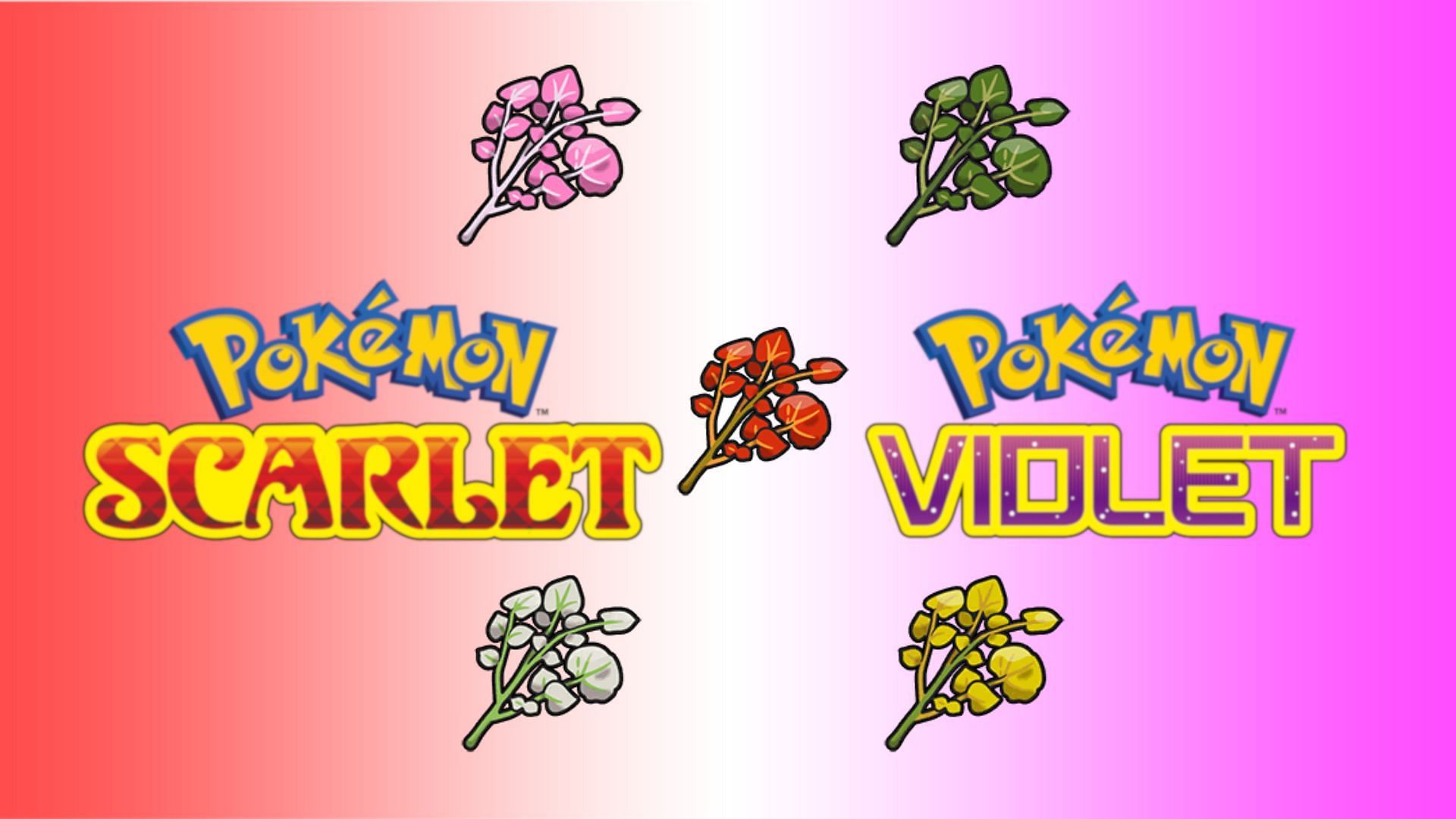 How to farm Herba Mystica in Indigo Disk Pokemon Scarlet and Violet DLC