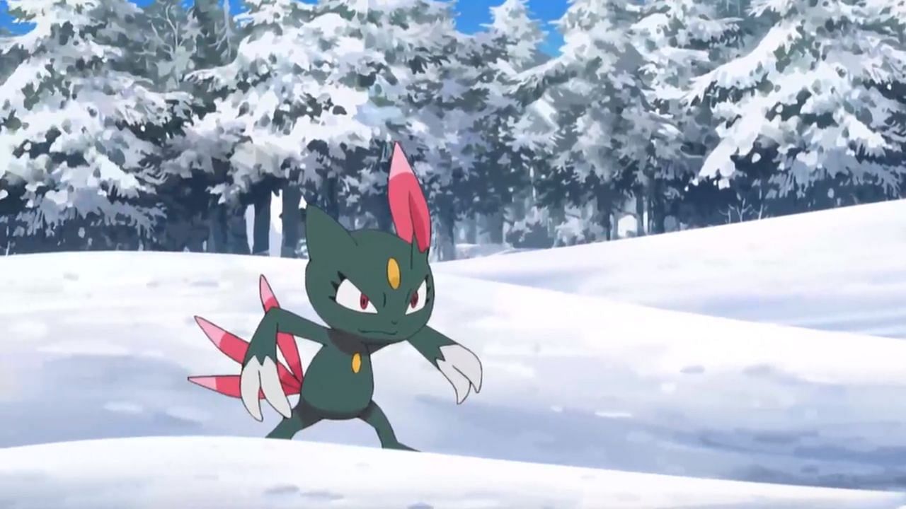 Sneasel as seen in the anime (Image via The Pokemon Company)