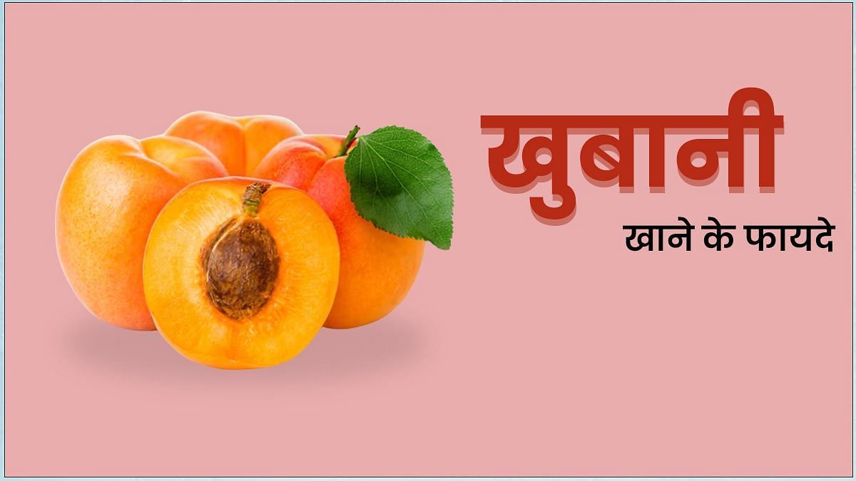 खुबानी फल के फायदे (sportskeeda Hindi) 