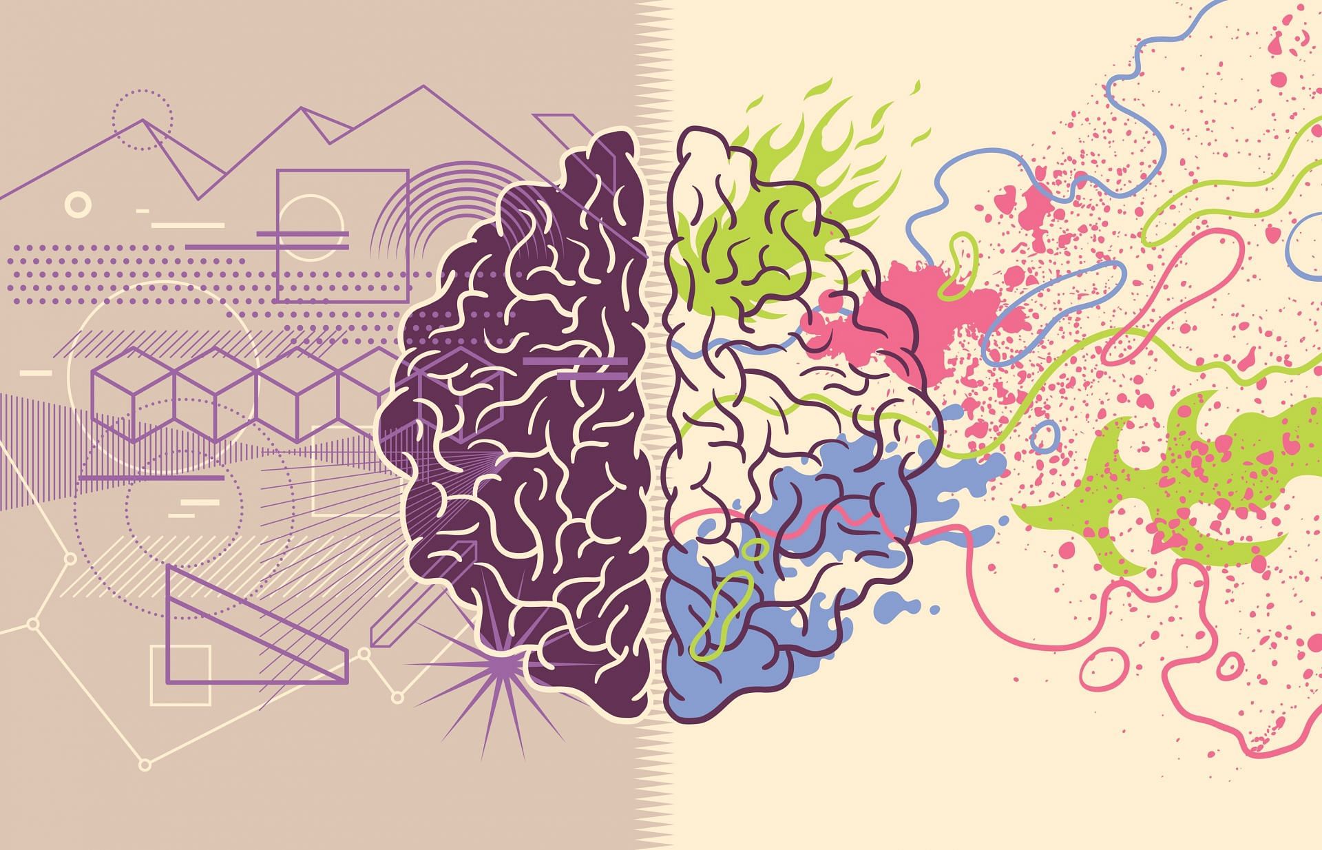 Engage both your hemispheres. (Image via Vecteezy illustratelife)
