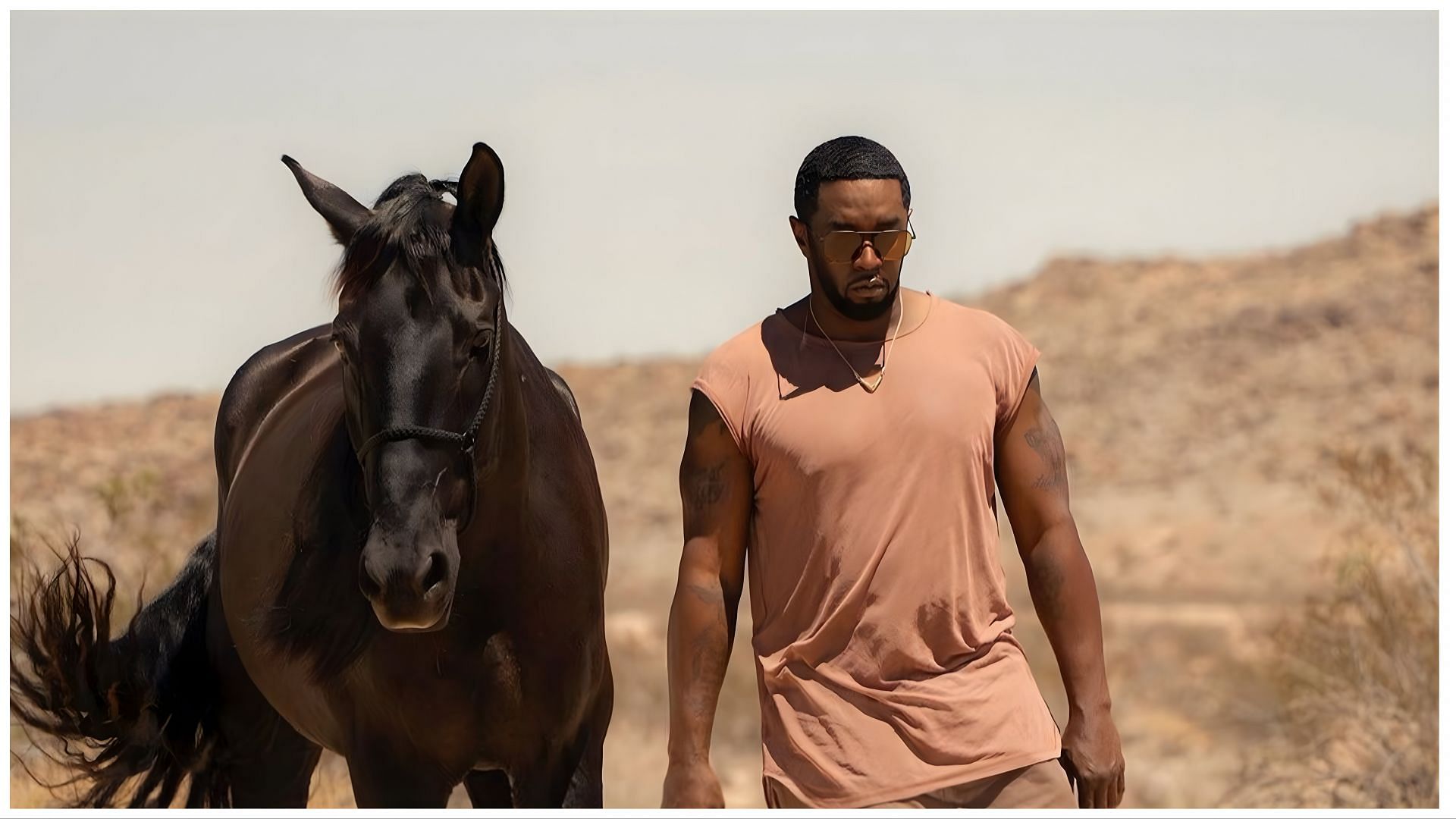 Diddy Poses with a horse for his new album &quot;LOVE&quot; (Image via official Instagram @diddy)