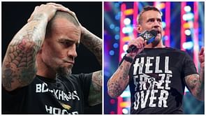 "No one's gonna get choked out" - WWE veteran weighs in on CM Punk's current run