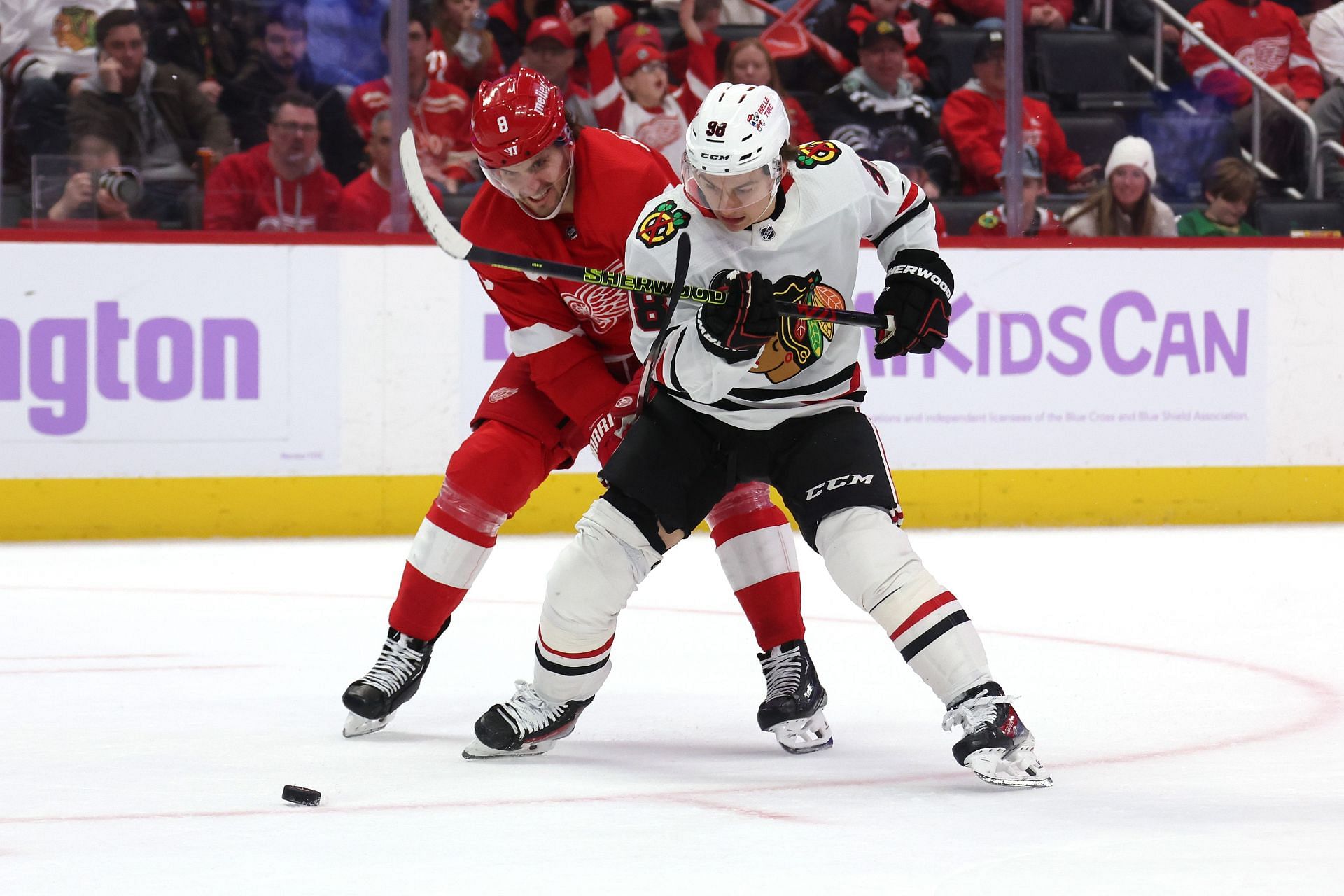 Chicago Blackhawks v Detroit Red Wings