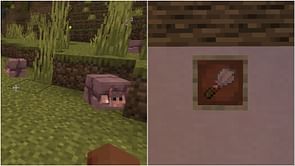 How to get armadillo scutes in Minecraft