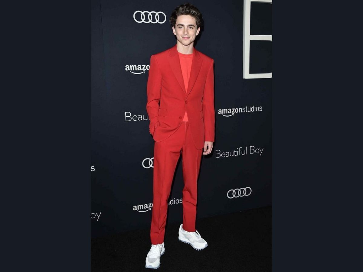 Timothee Chalamet in Louis Vuitton sneakers (Image via Pinterest/Esquire UK)