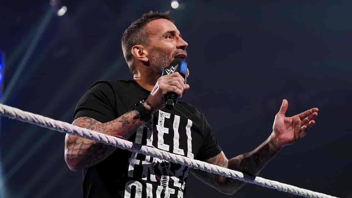 CM Punk has delivered a few promos since his return to WWE