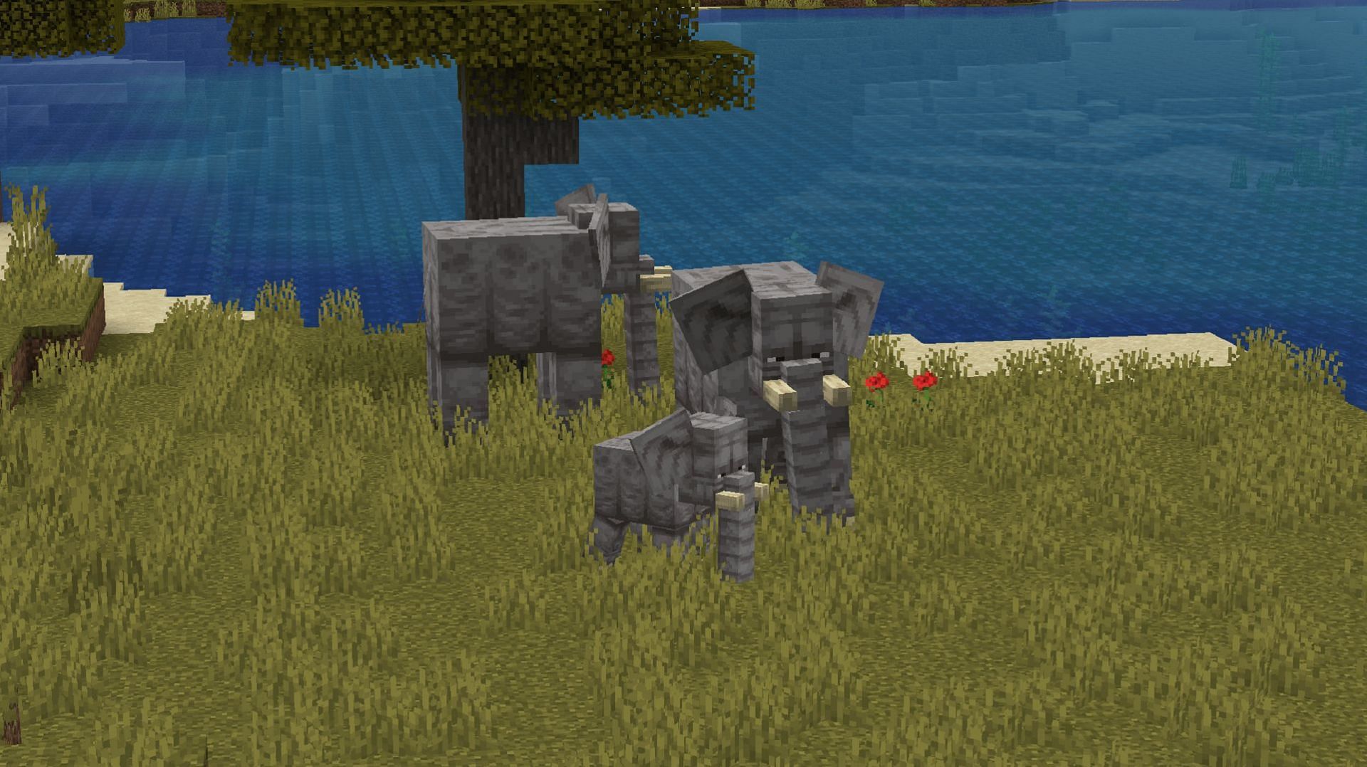 Elephants roam a savanna in the Naturalist Minecraft mod (Image via Crispytwig/Modrinth)