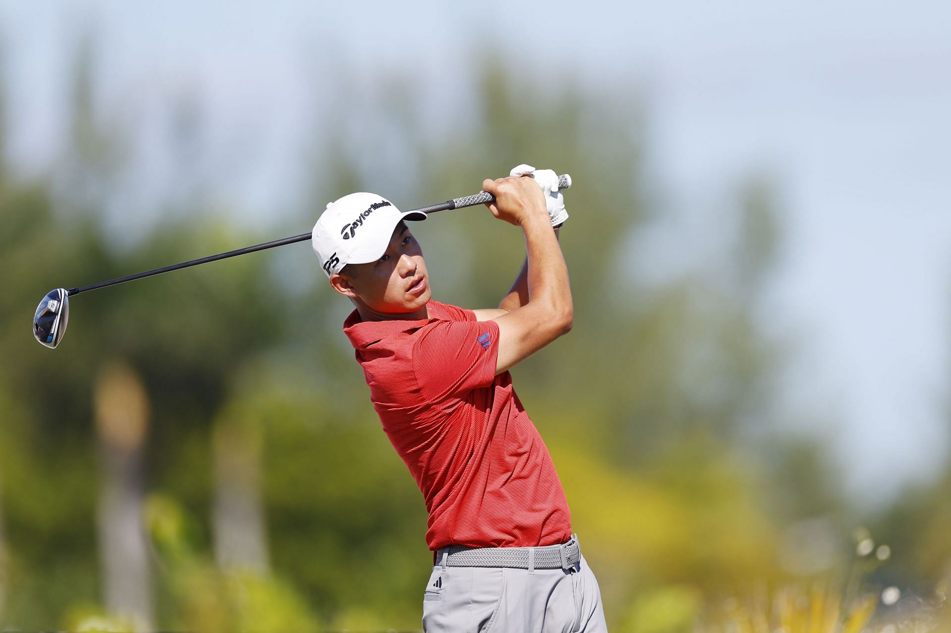 Collin Morikawa (Image via Mike Ehrmann/Getty Images)