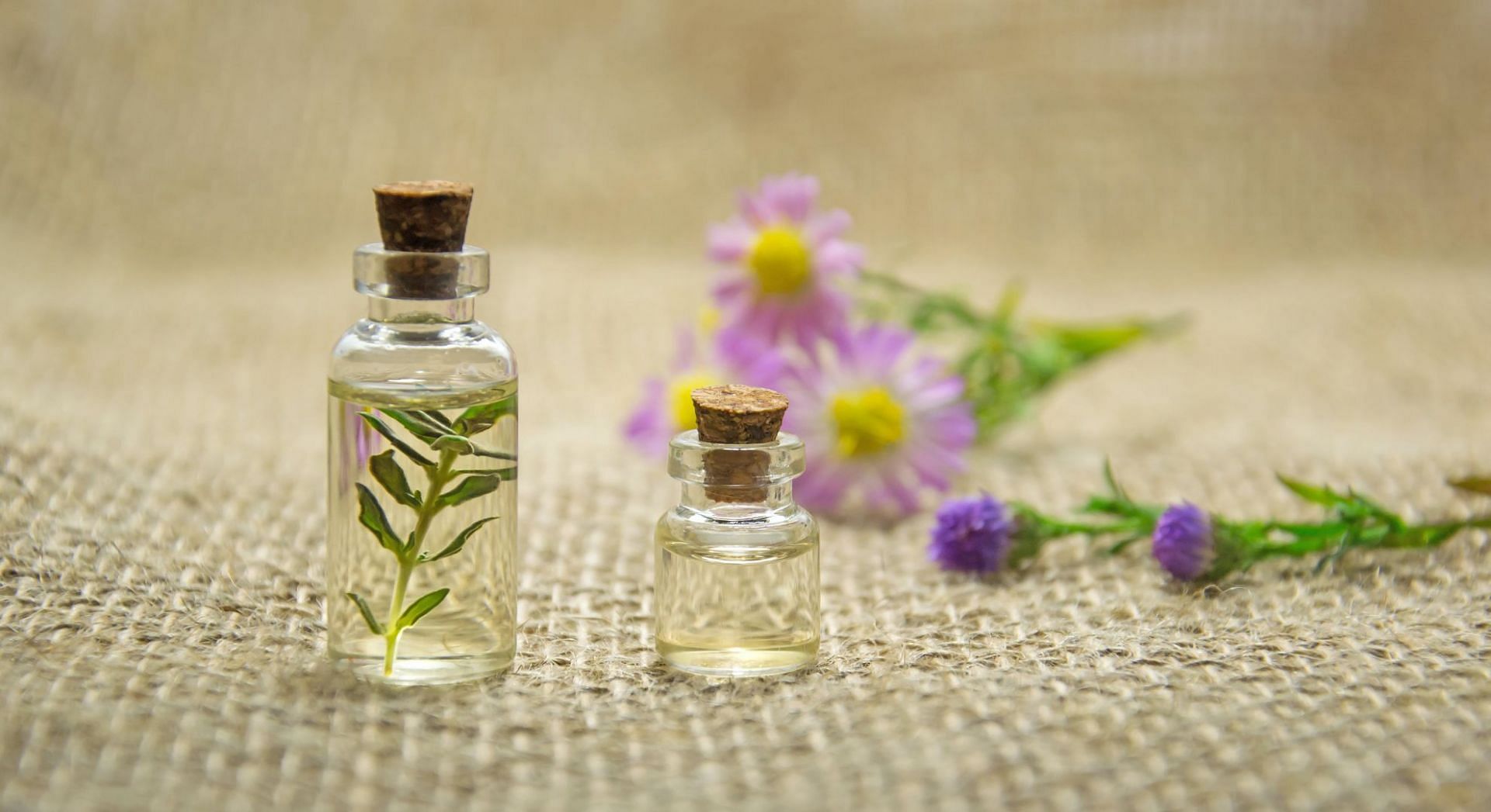 Tea tree oil (Image via pexels/@Mareefe)