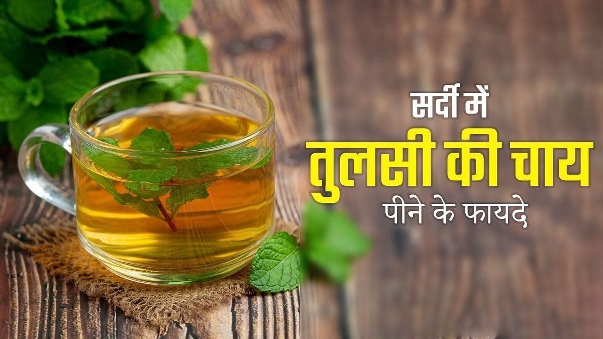 सर्दियों में रोज पिएं 1 कप तुलसी की चाय (sportskeeda Hindi) 
