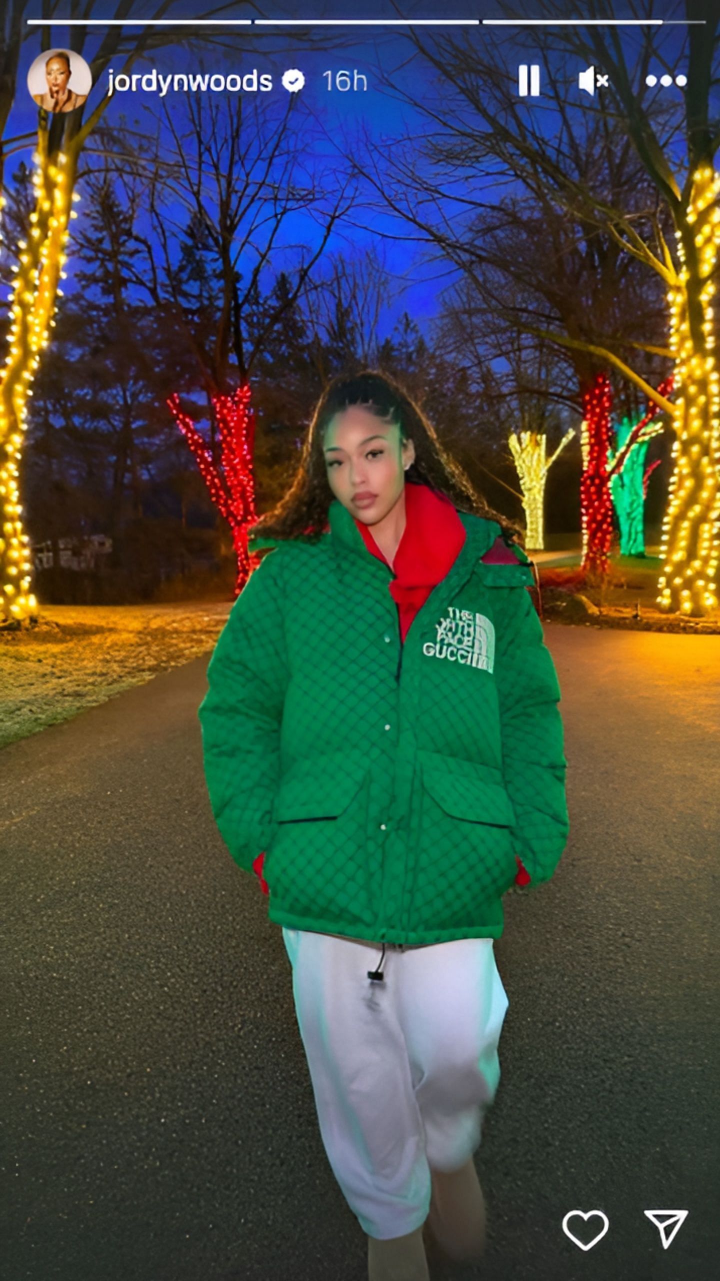 Jordyn Woods in The North Face Gucci Jacket