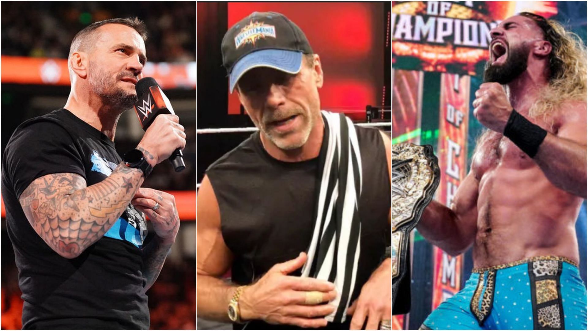 Shawn Michaels On CM Punk Return: If You're Dependable And Good At Your  Job, There's Always An Opportunity In WWE