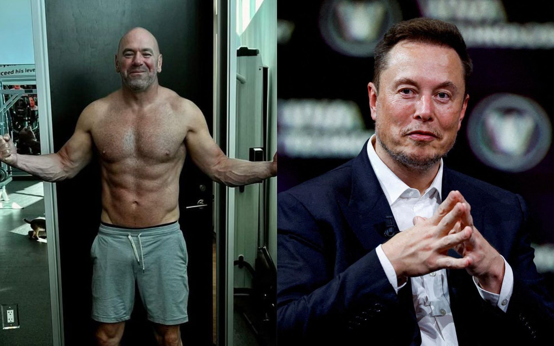 Dana White (left) and Elon Musk (right) (Image credits @danawhite on Instagram and @Travis_in_Flint on X)