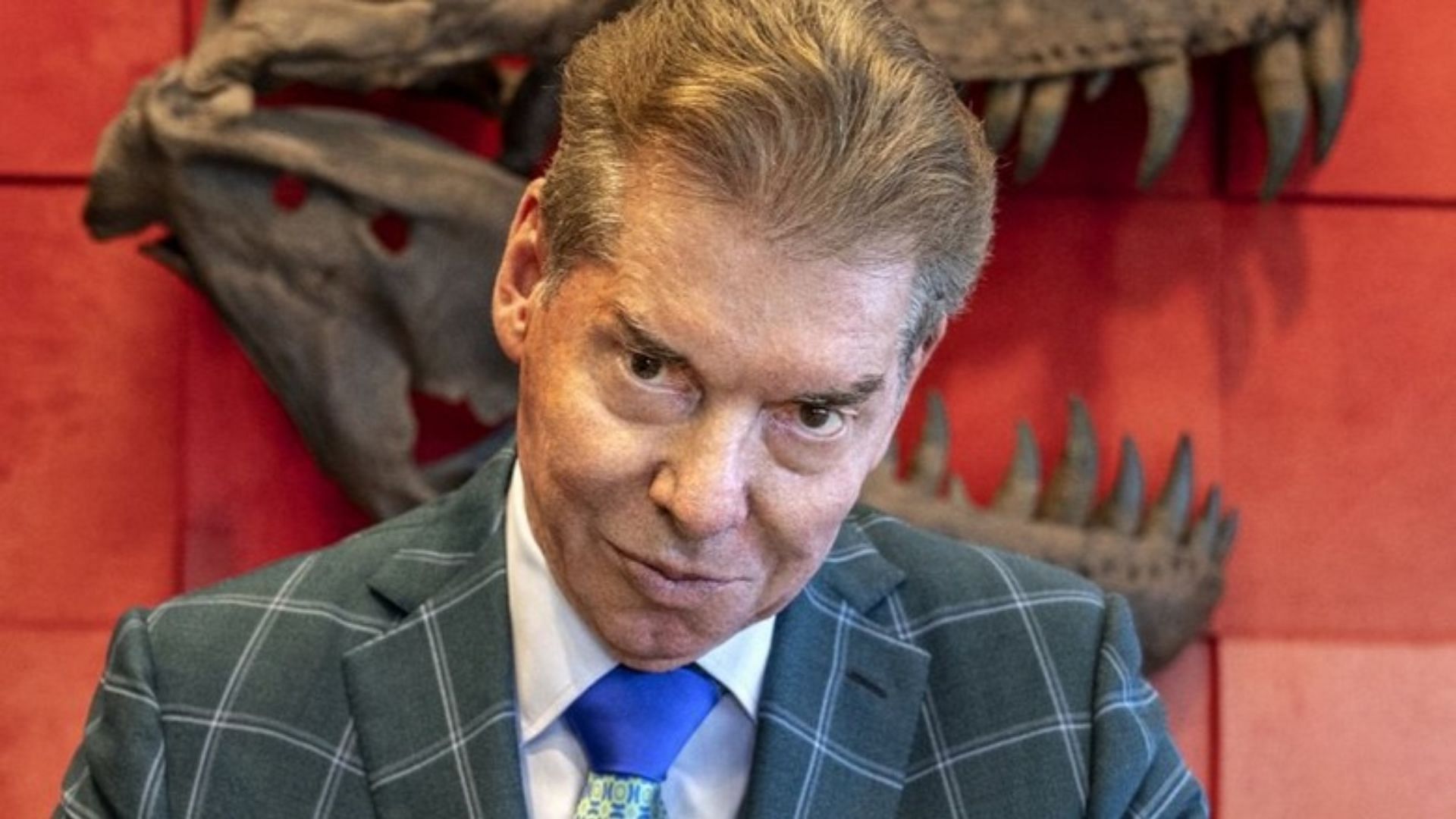 Vince McMahon is a co-founder of WWE