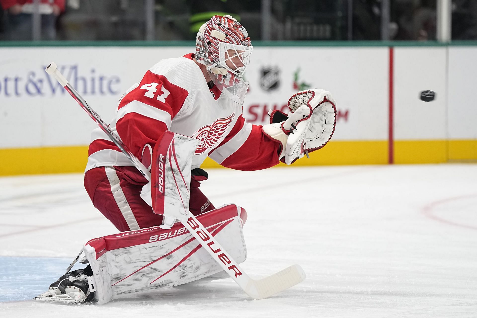 James Reimer of the NHl&#039;s Detroit Red Wings