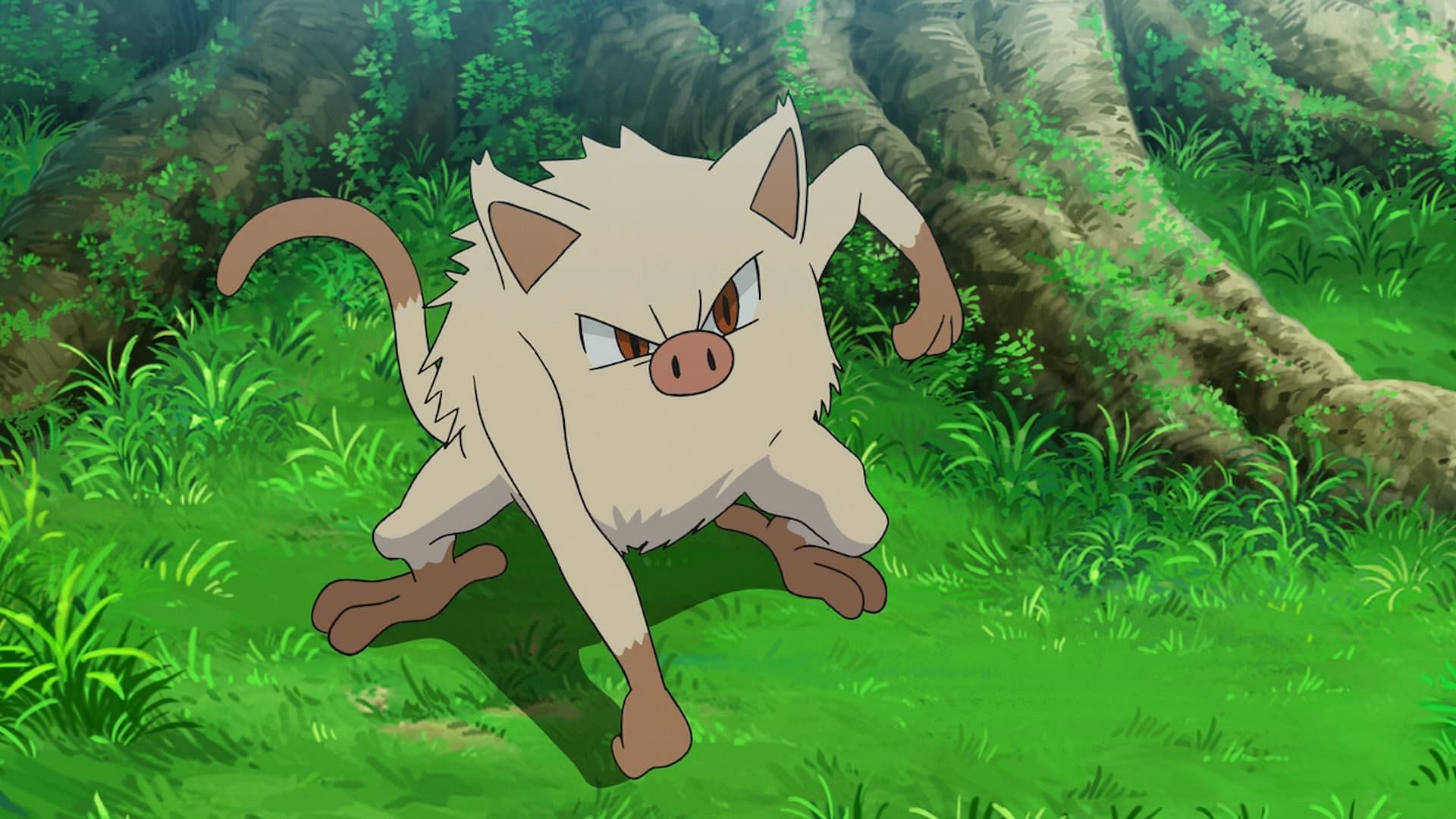 Mankey in the anime (Image via The Pokemon Company)