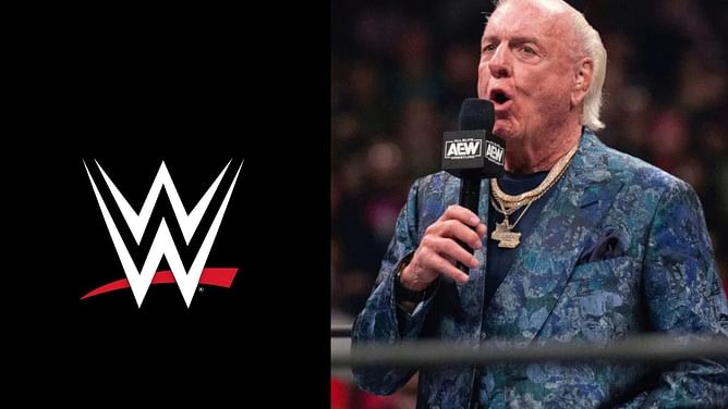 "Let me manage him" - Ric Flair pitches to team up with former WWE star