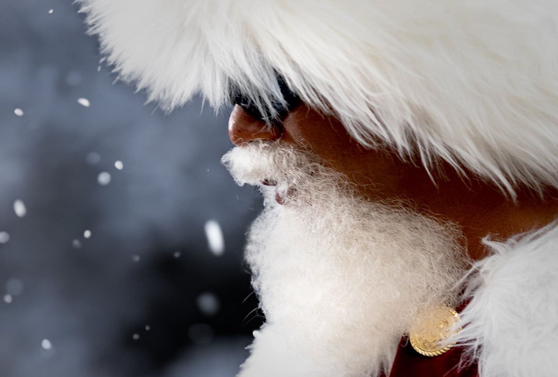 Tiger Woods as Mac Daddy Santa Claus for the TaylorMade Christmas video (Image via X @TaylorMadeGolf).