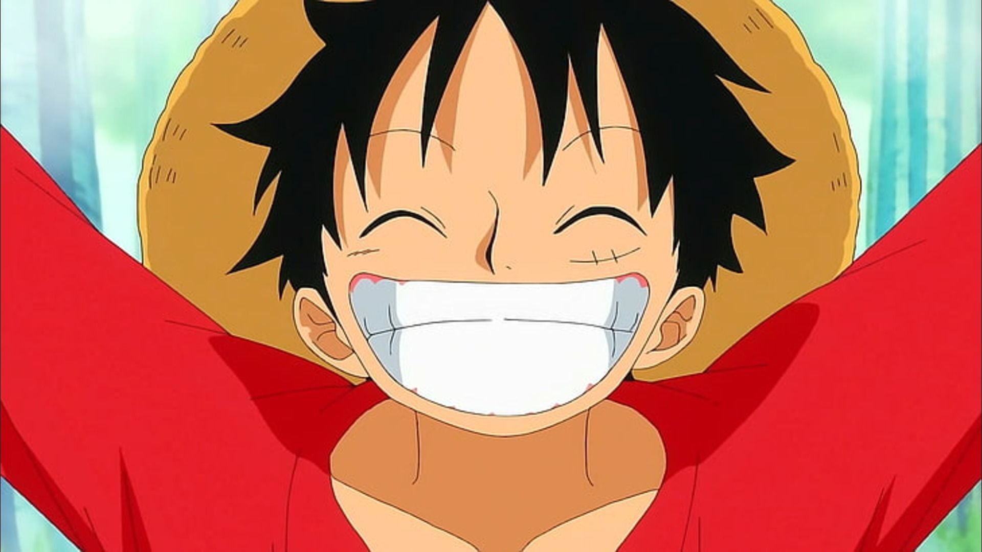 Monkey D Luffy Straw Hat Pirates One Piece Smiling Anime Matte