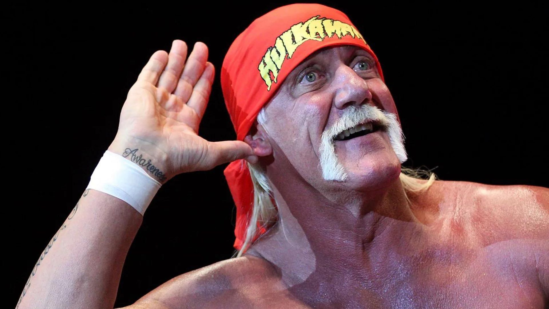 What was Hulk Hogan