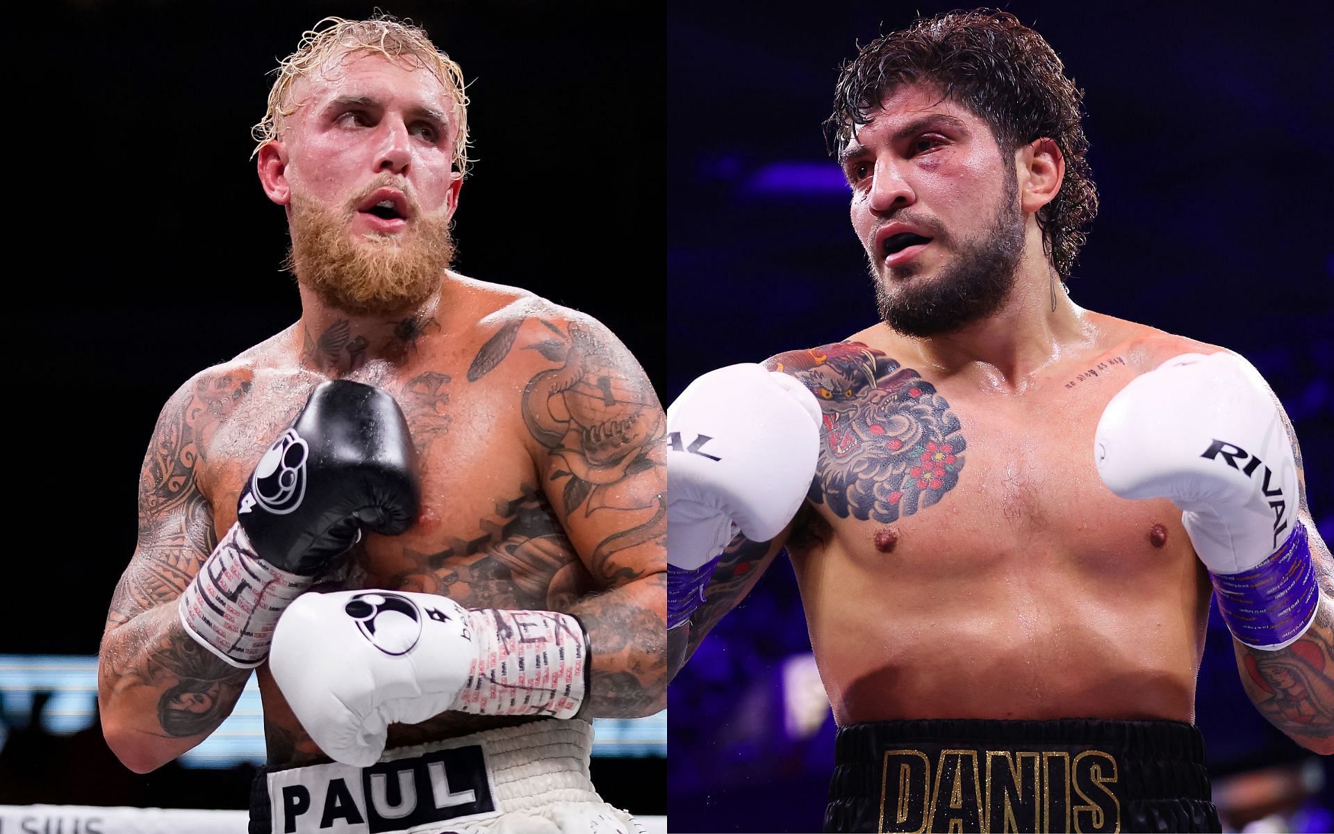 Jake Paul (left) and Dillon Danis (right) have long been feuding against each other [Images courtesy: Getty Images]