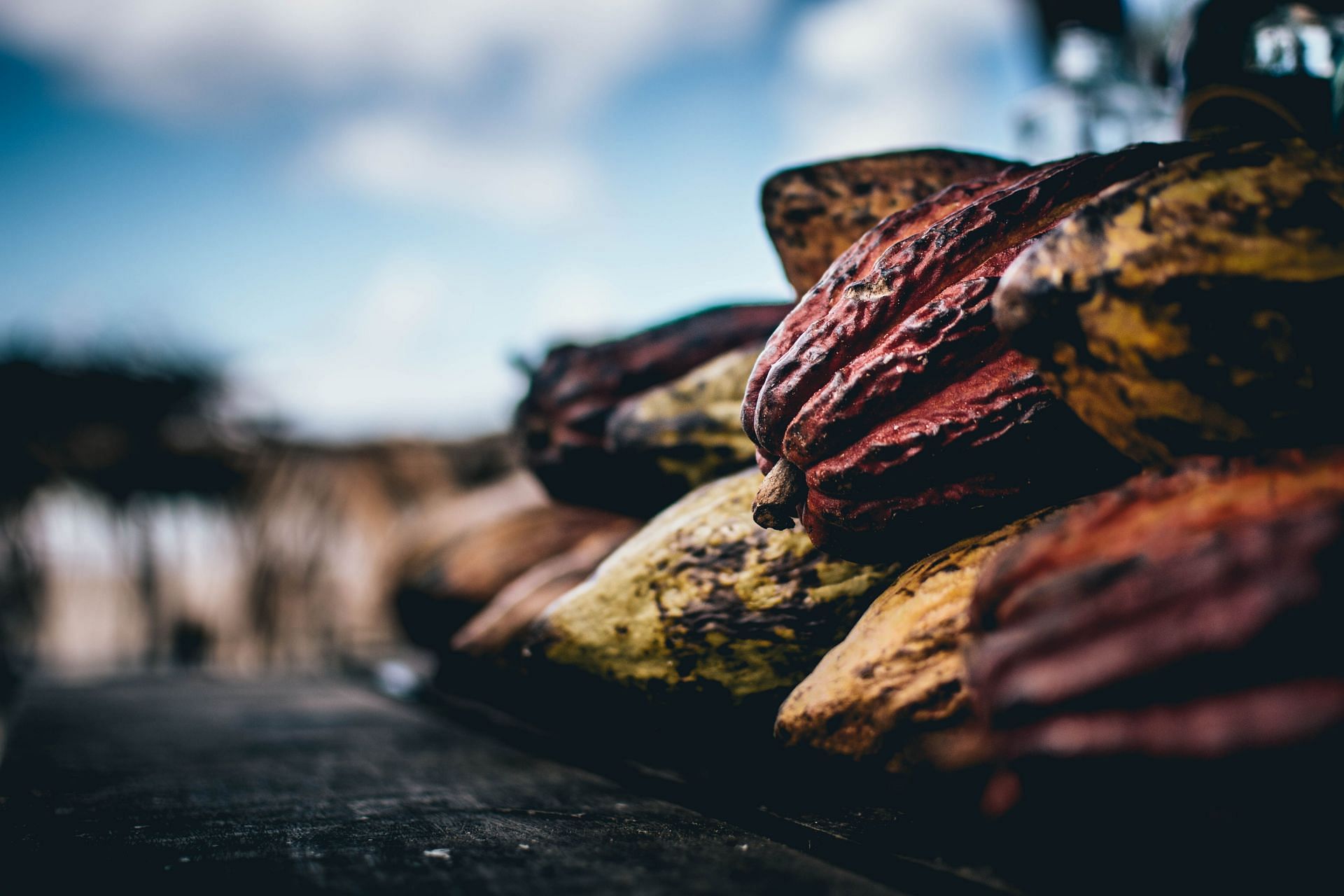 Cocoa extract (Image via Unsplash/Alexandre)