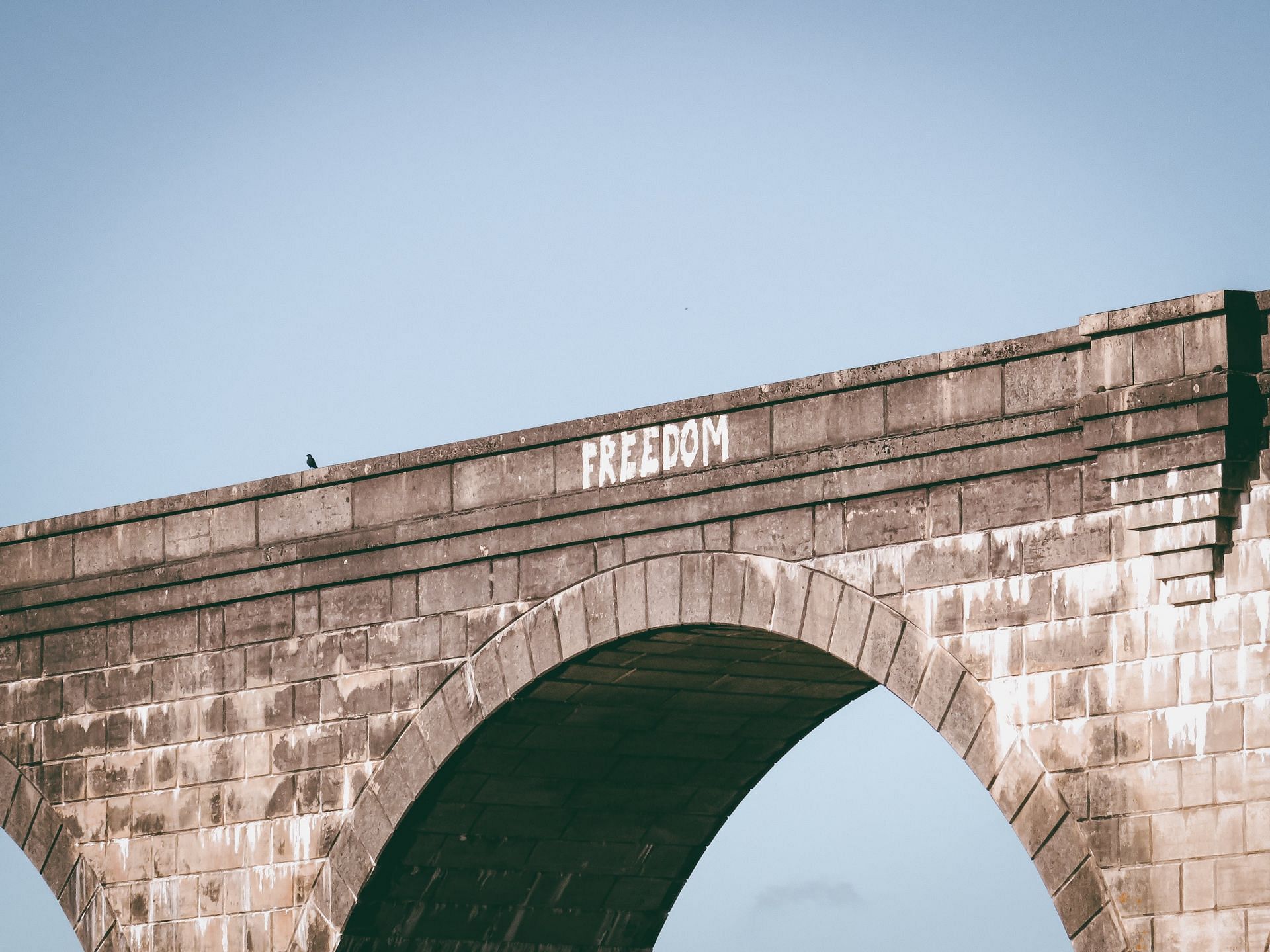 Some individuals choose to be deviant since they find a new type of independence and freedom. (Image via Pexels/ JD photography)