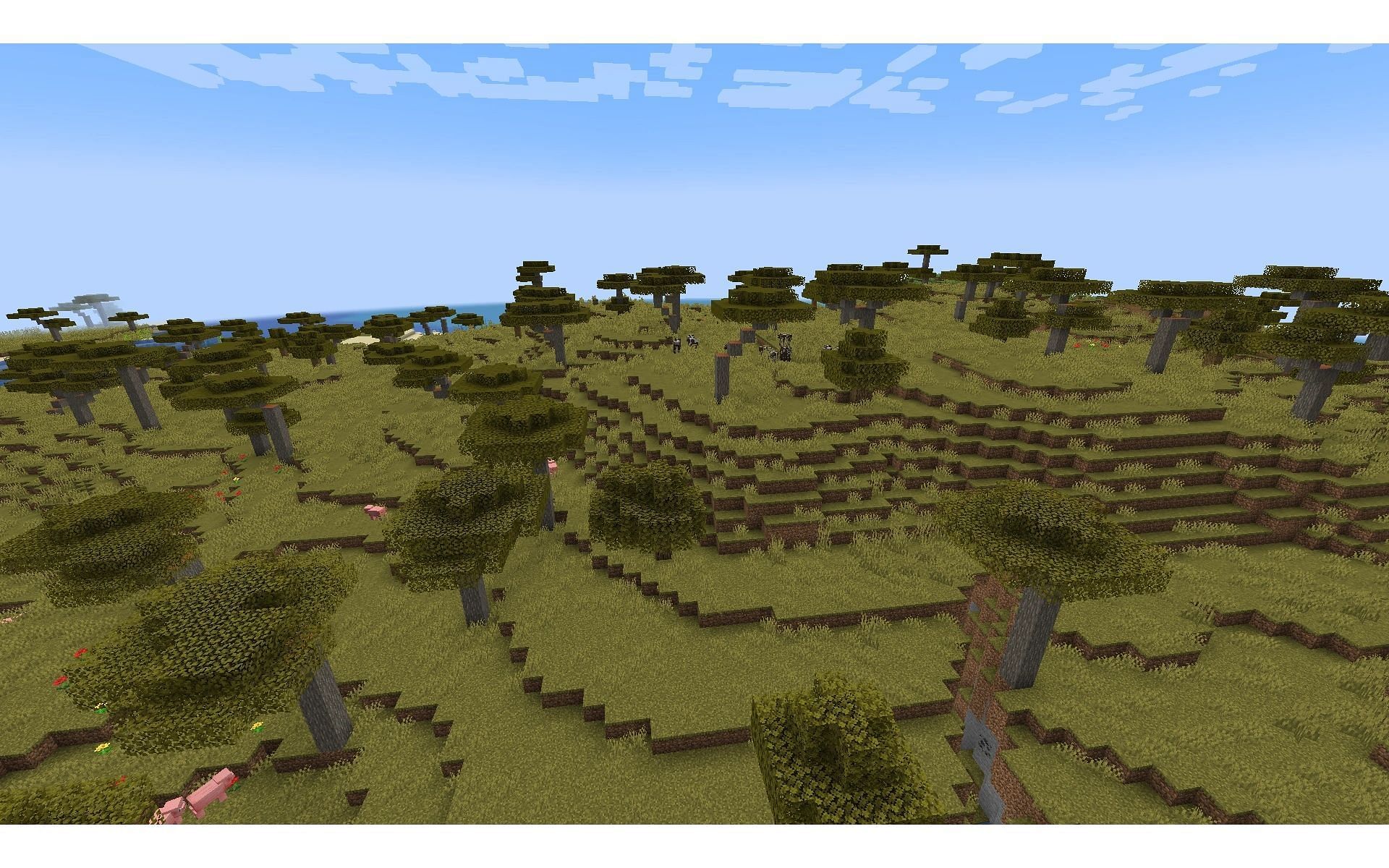 Le biome de la savane (Image via Fandom)