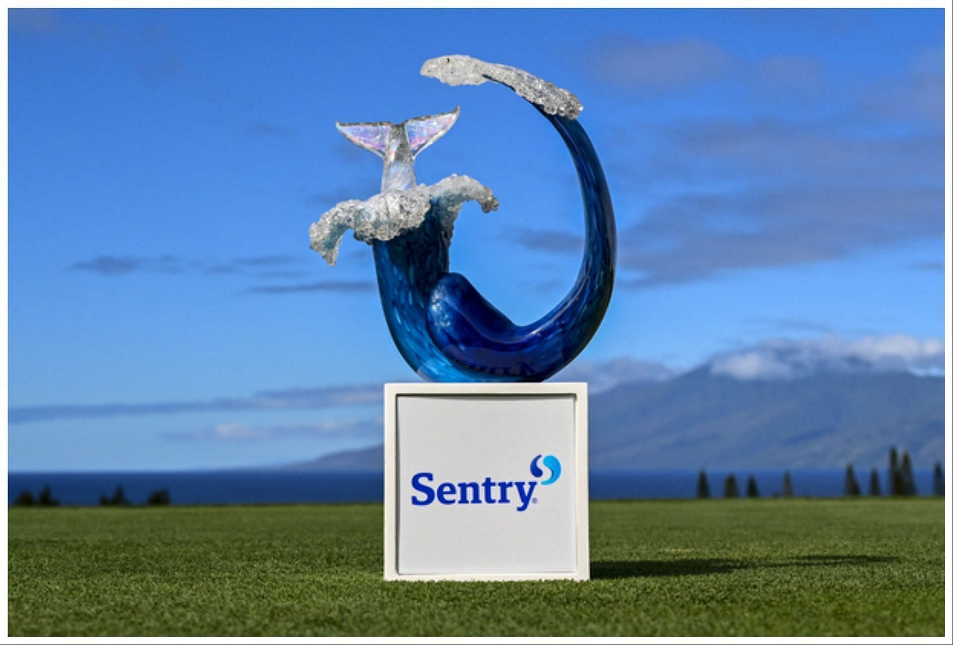 The Sentry will begin on January 4, 2024 (Image via Sentry.com)
