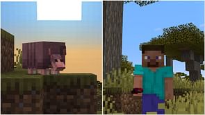 What do armadillos eat in Minecraft?