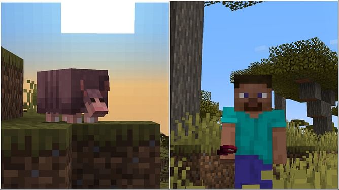 What do armadillos eat in Minecraft?