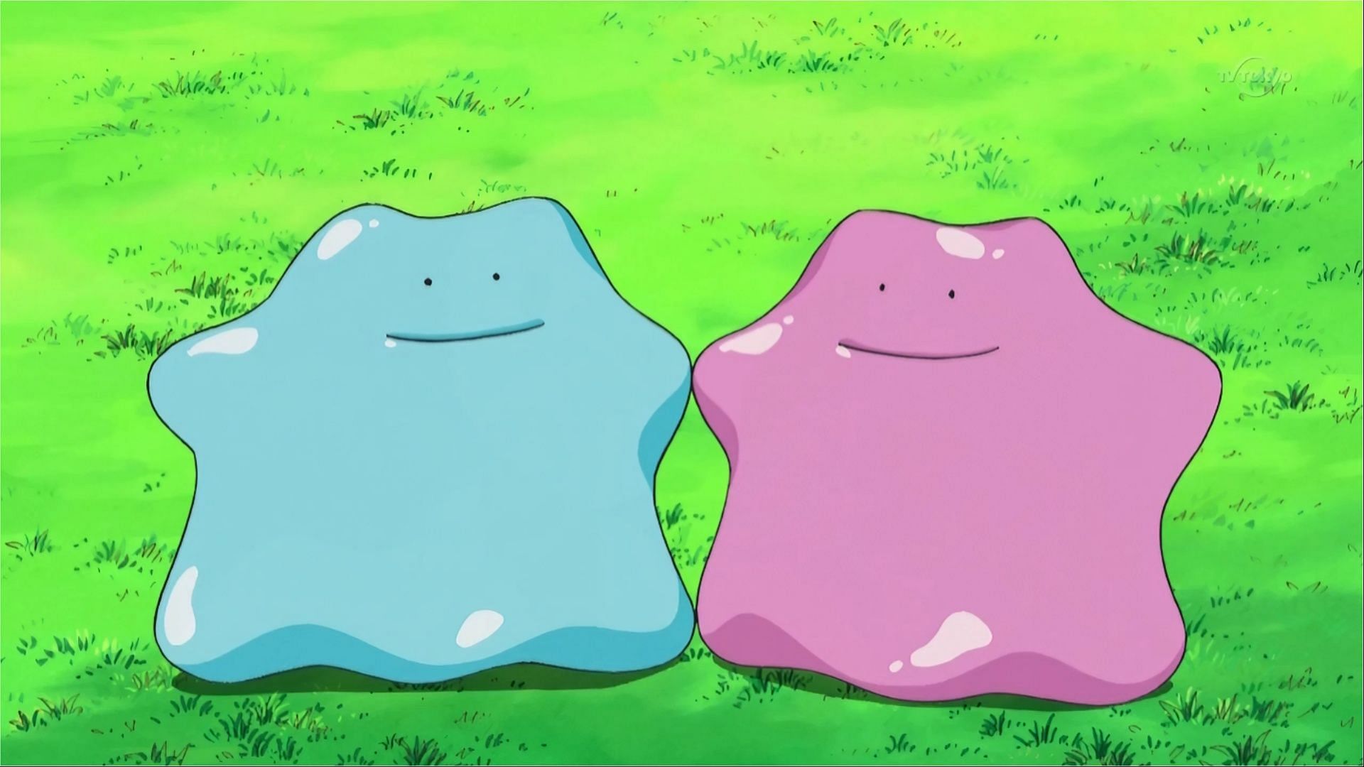 Shiny Ditto on the left (Image via The Pokemon Company)