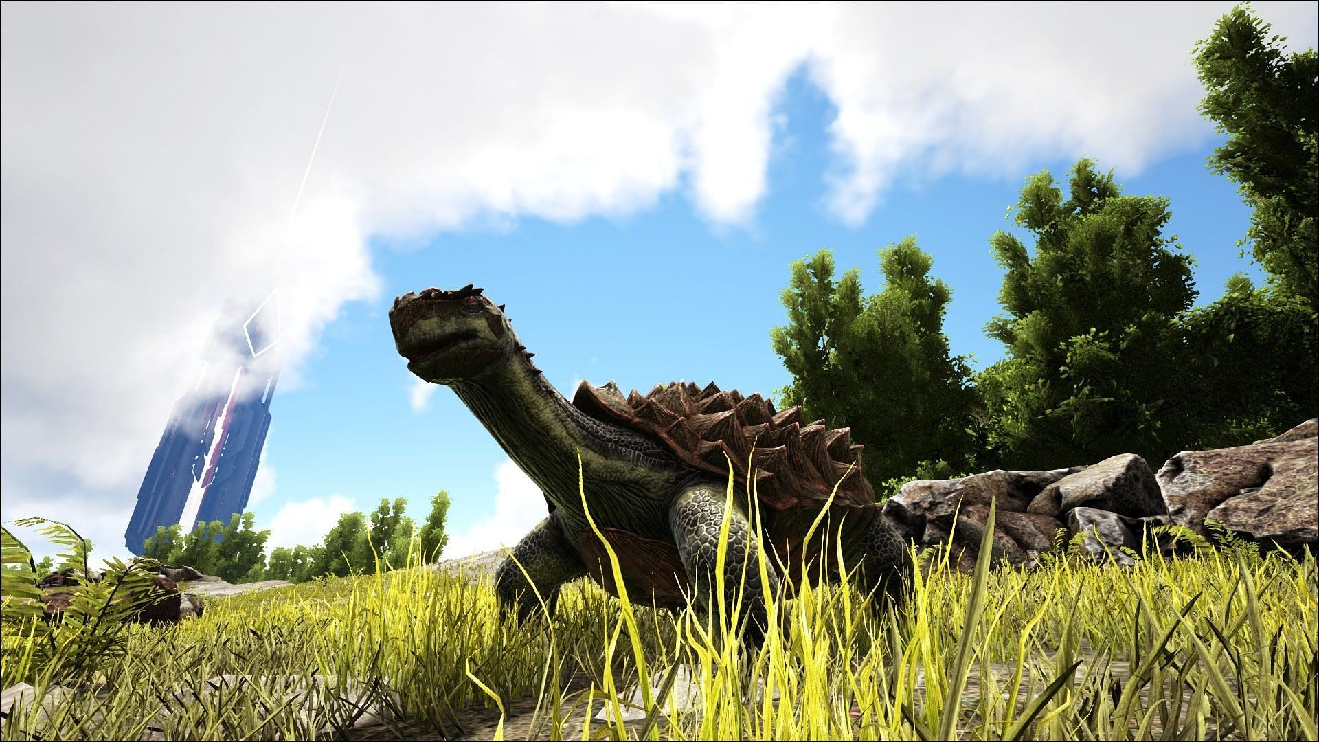 A Carbonemys on a field in Ark