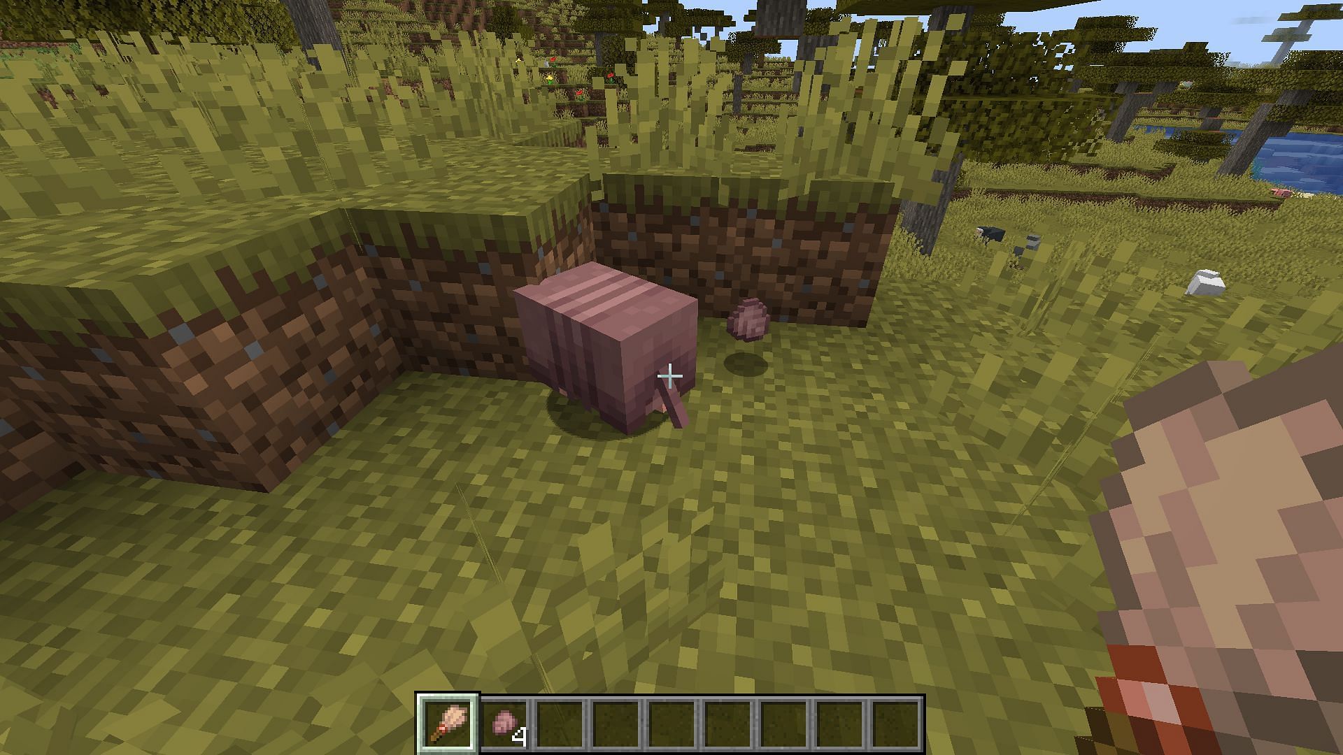 Armadillos drop scutes when they are brushed using the new brush tool (Image via Mojang)