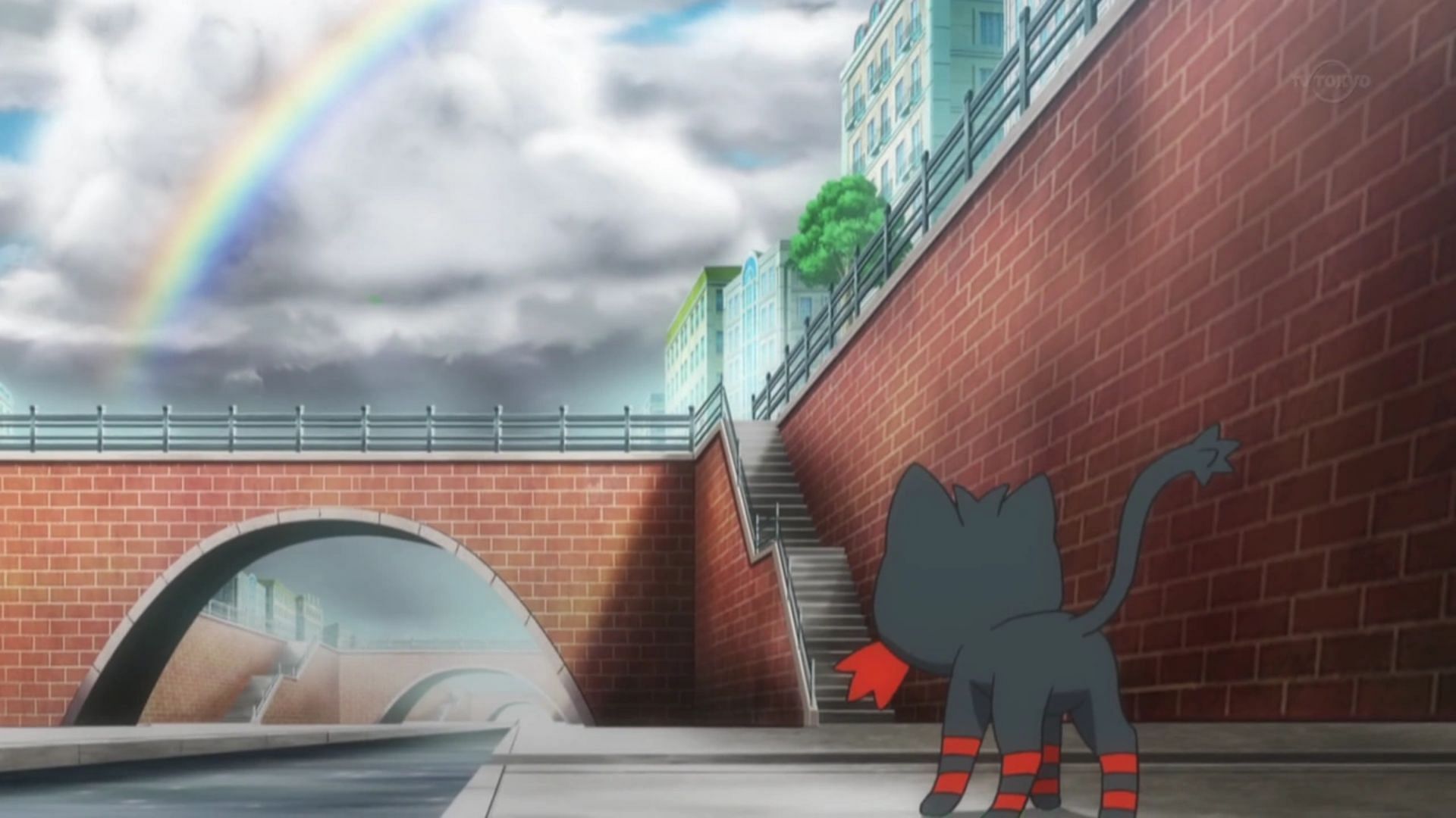 Litten looking at the rainbow to find hope (Image TPC)