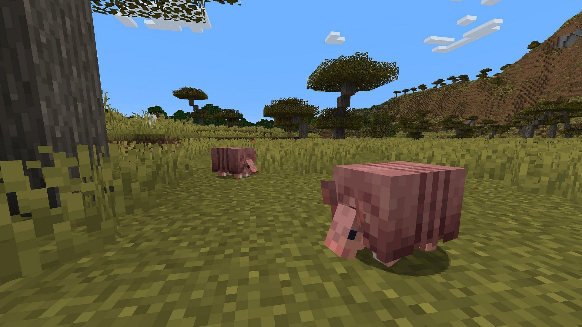 The new interpretation of armadillos showcased by the Minecraft developers at Mojang.