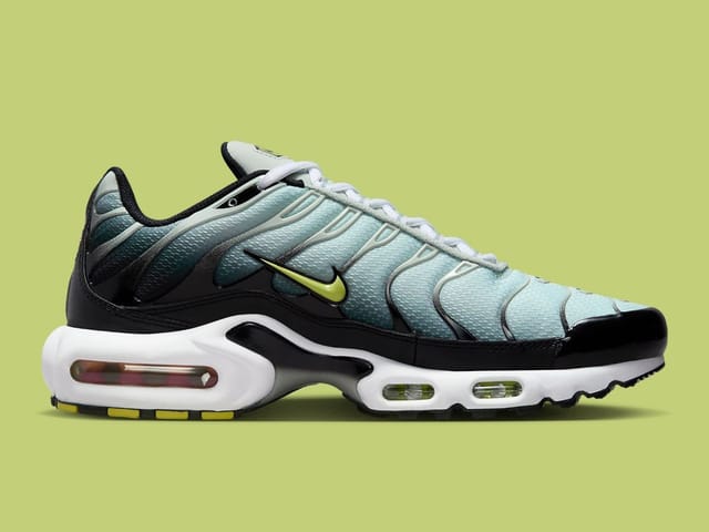 dusty cactus air max plus