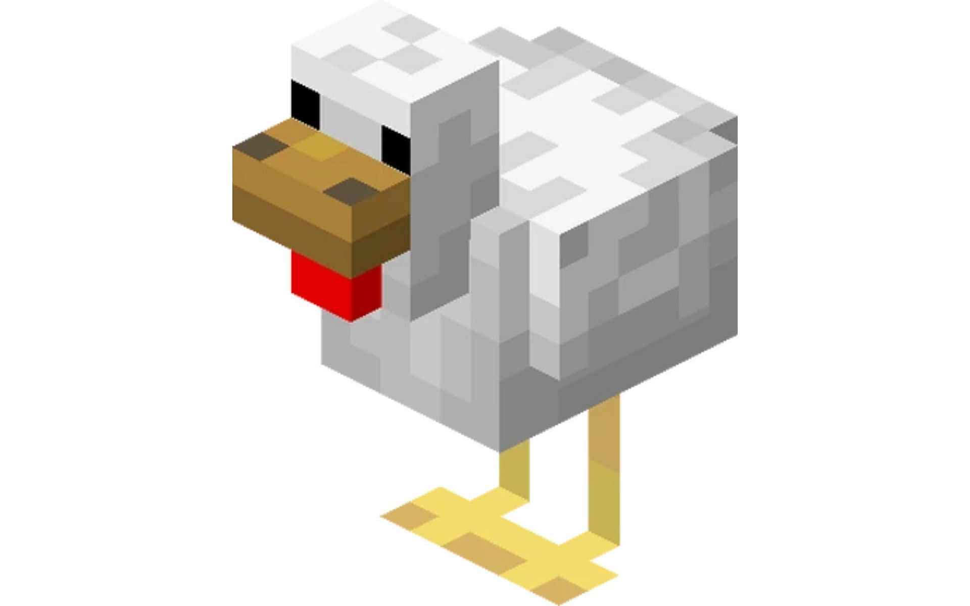 Chickens can provide players with many different materials to help them in their journey. (Image via Fandom)