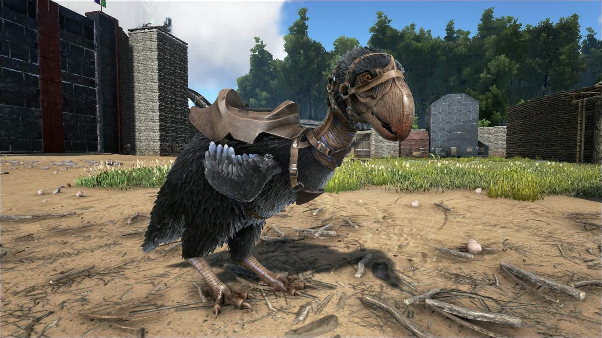The Terror Bird as a tame in ARK Survival Ascended