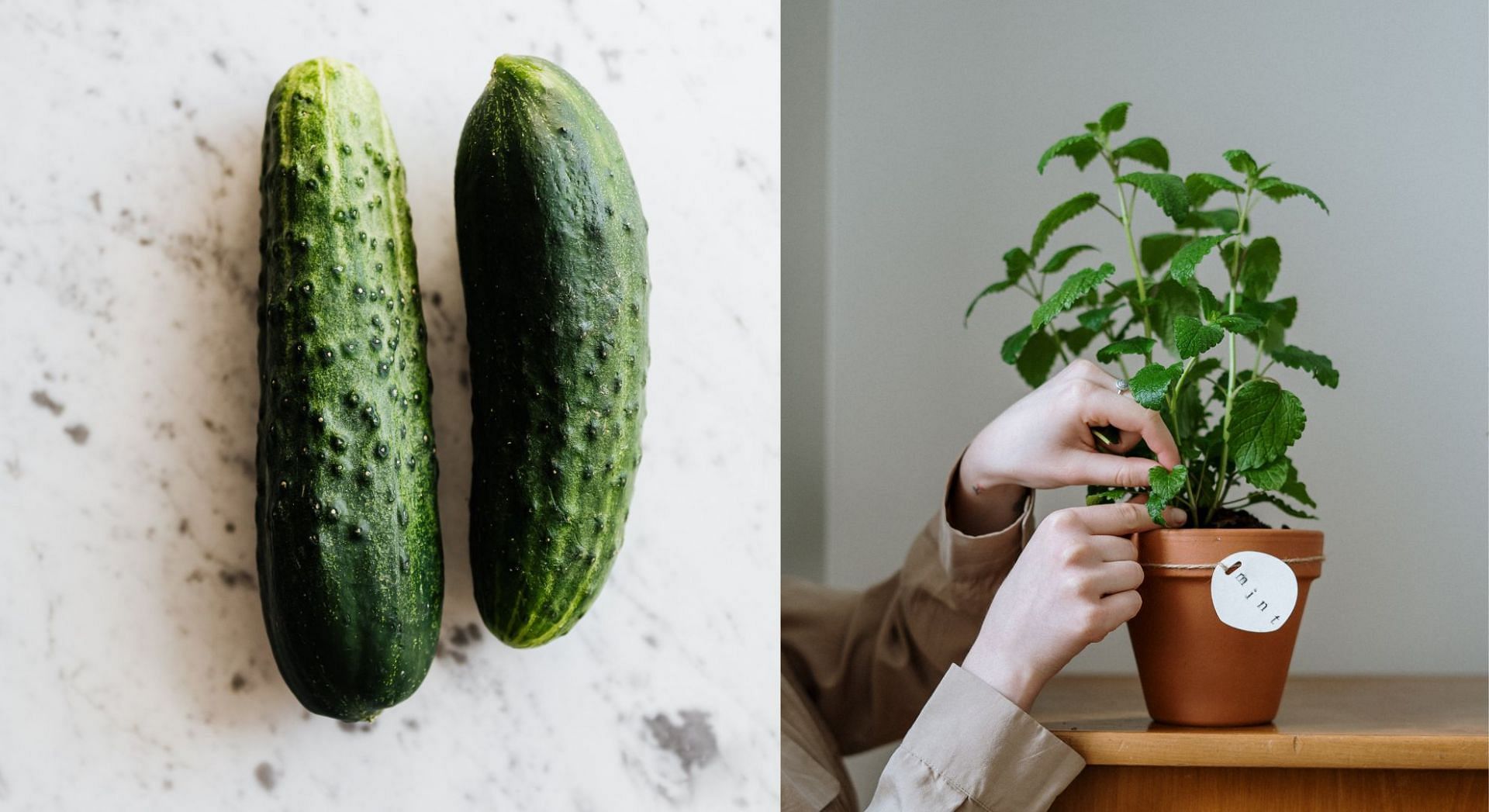 Cucumber mint cooling mask (Image via pexels/ Karolina Grabowska &amp; cottonbro studio)