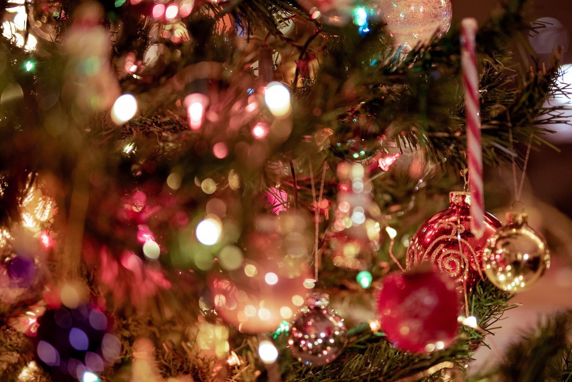 Christmas (Image via Unsplash/Laura)