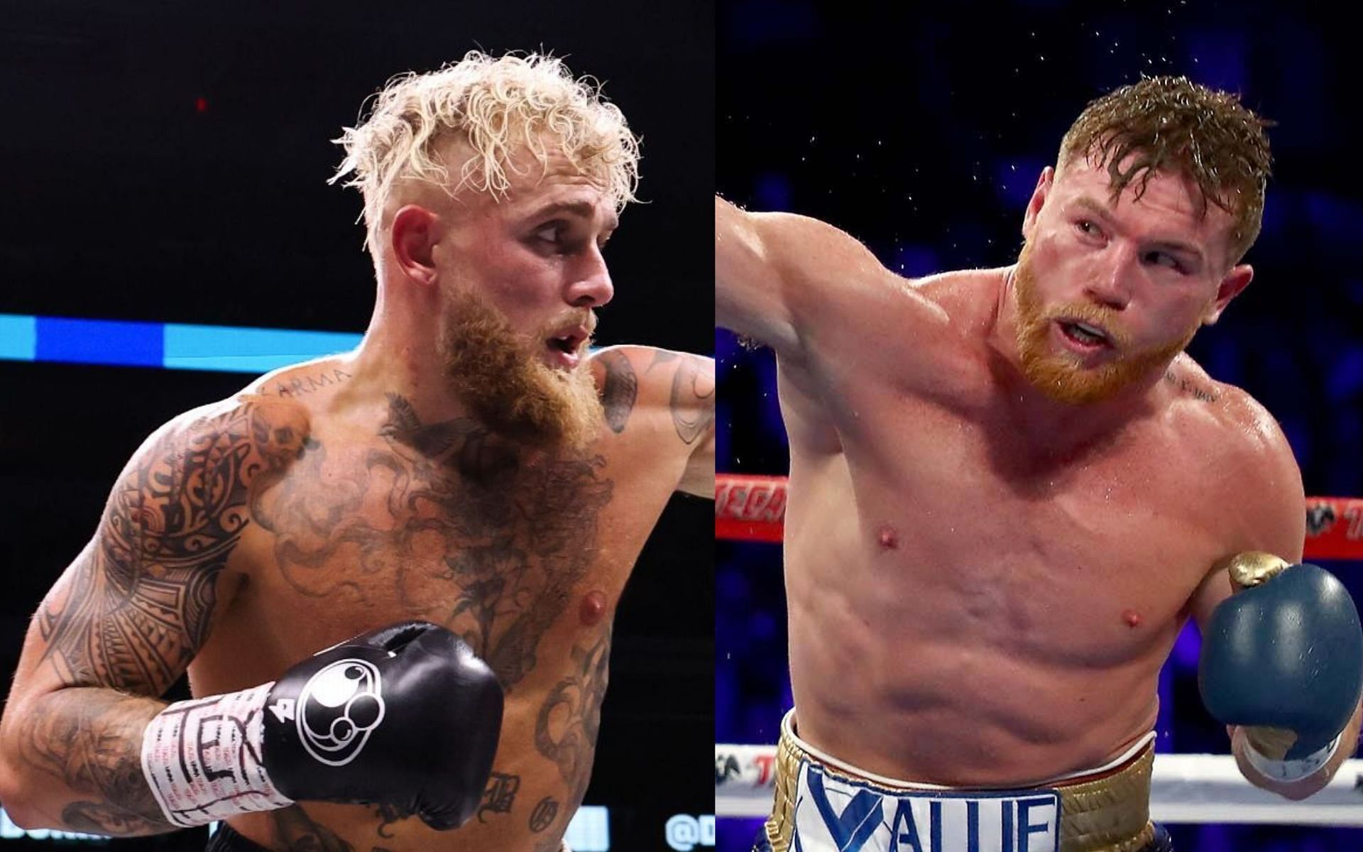 Jake Paul wants to take on Canelo Alvarez. [via Getty Images]