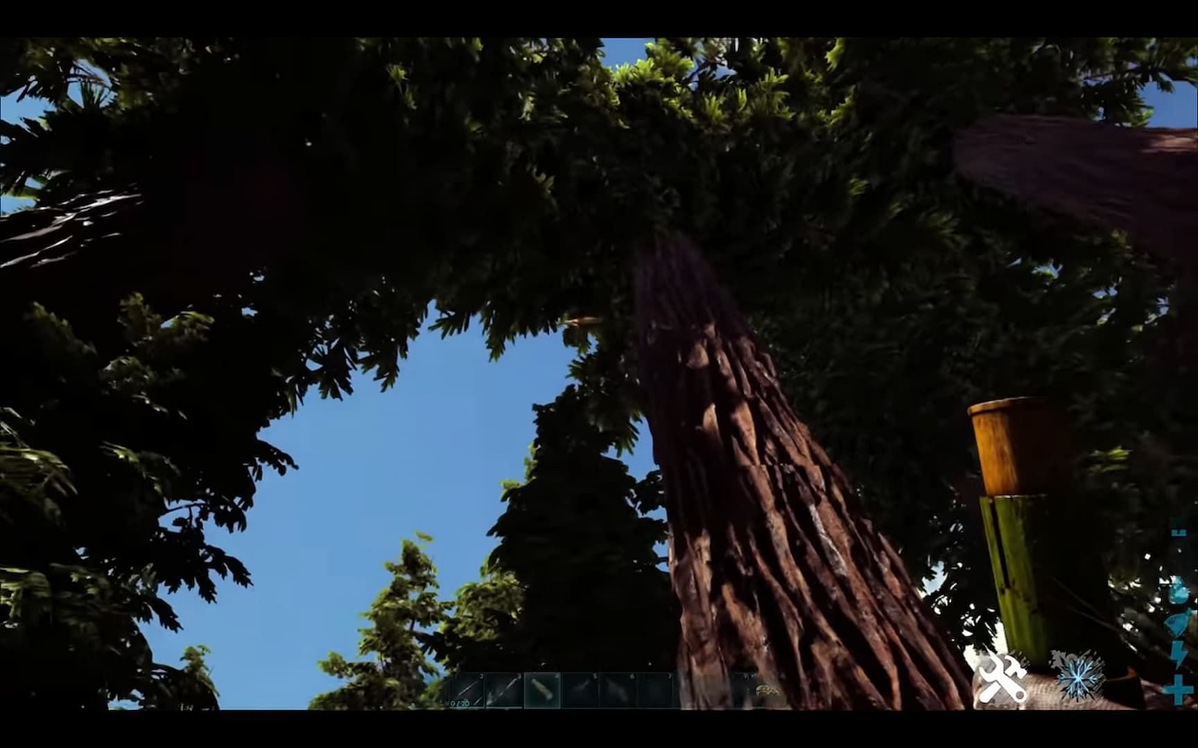 A Redwood tree in Ark Survival Ascended (Image via Studio Wildcard)