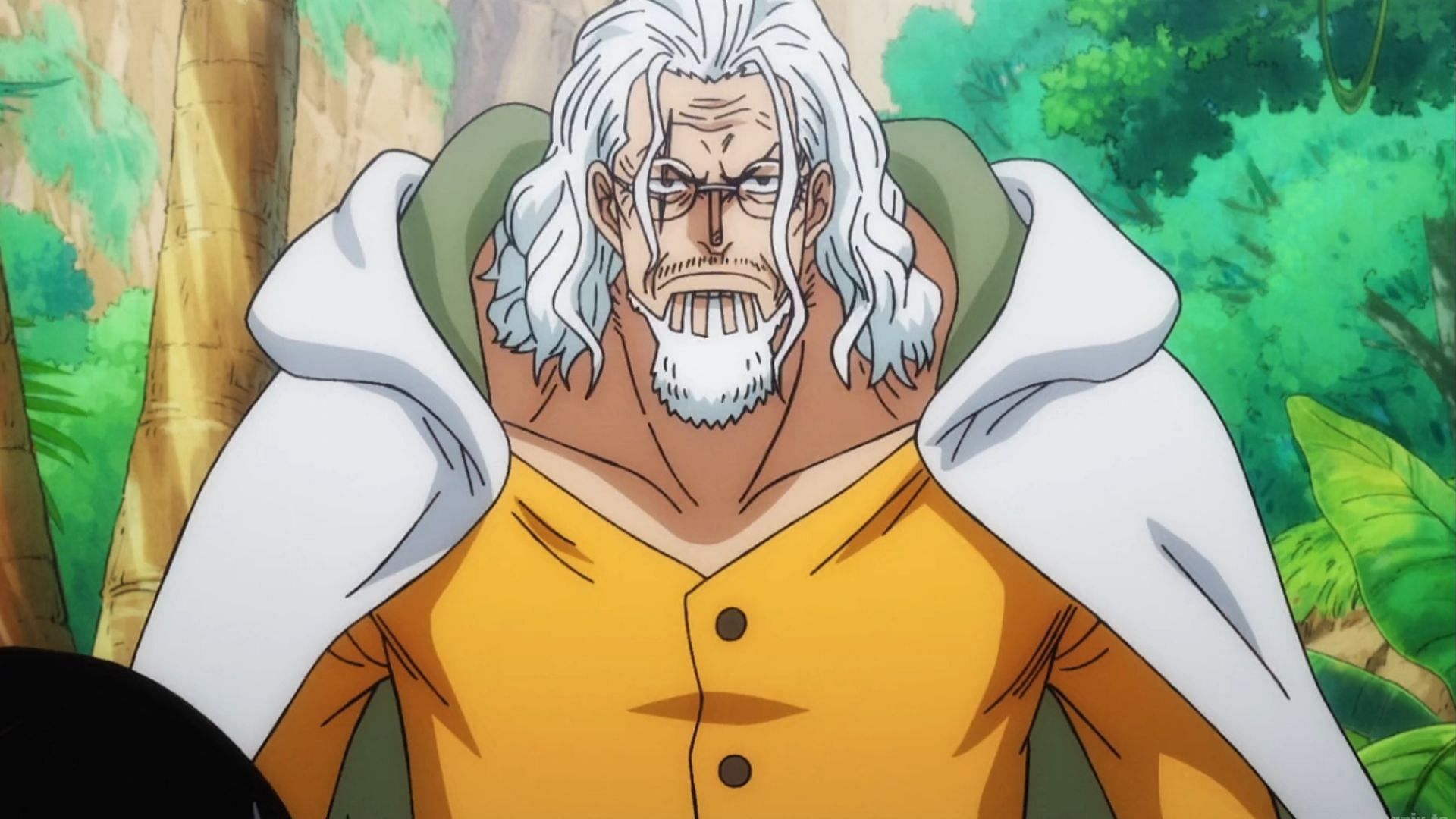 Rayleigh as seen in One Piece (Image via Toei)